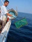 Παλιότερες πειραματικές μελέτες τόσο στην Ελλάδα όσο και στο εξωτερικό αναφέρουν μία σειρά γενικά πλεονεκτήματα της χρήσης στατικών εργαλείων (όπως οι παγίδες) αντί της κλασσικής αλιείας με συρόμενα