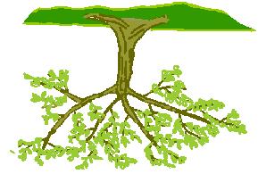 Δέντρα (1) Δέντρο: είναι ένα συνεκτικό γράφημα χωρίς