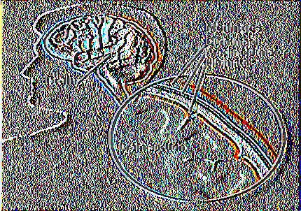 Έτσι, η πατρότητα της σύλληψης της ιδέας της Επιδημιολογίας ως του επιστημονικού κλάδου που «μελετάει τη συχνότητα των νοσημάτων», θα πρέπει να μοιραστεί