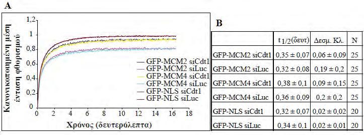 4. Αποτελέσματα Ακολούθησε λήψη αντιπροσωπευτικών εικόνων και ποσοτική εκτίμηση της έντασης και του ποσοστού των θετικών κυττάρων για την πρωτεΐνη Cdt1 με το πρόγραμμα Image J.