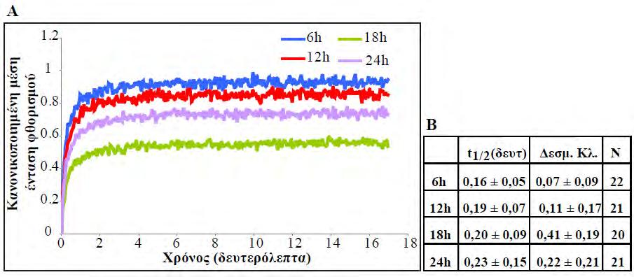 4. Αποτελέσματα μικρότερο δεσμευμένο κλάσμα της πρωτεΐνης GFP-MCM4 στη χρωματίνη (GFP- MCM4 Δεσμ.Κλ. = 0.22 ± 0.21), σε σύγκριση με τις 18 ώρες.
