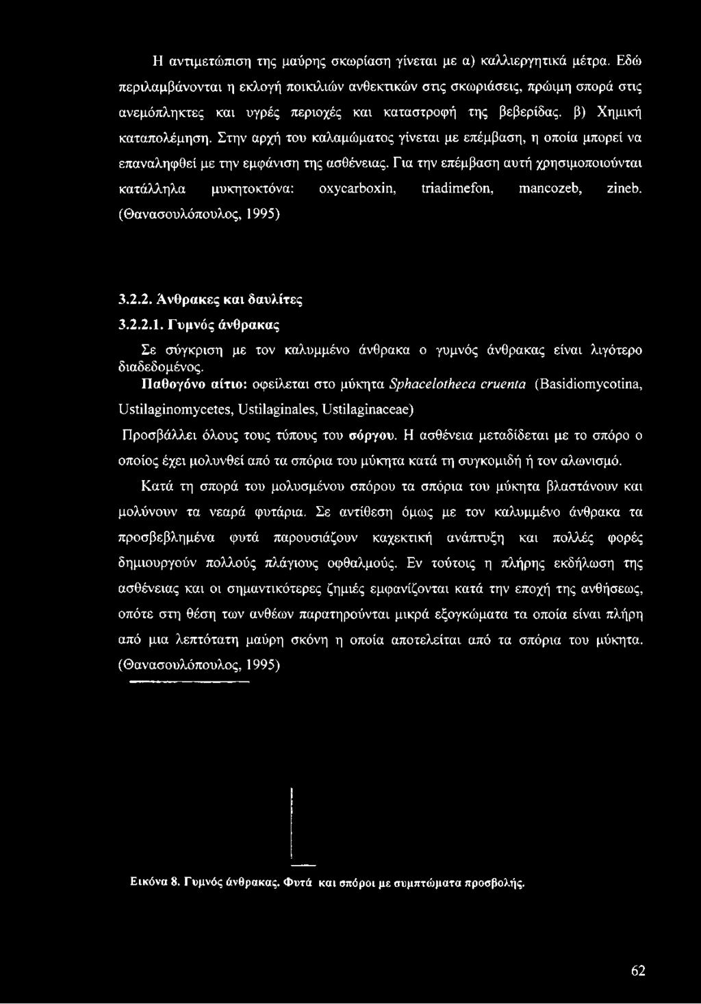 Στην αρχή του καλαμώματος γίνεται με επέμβαση, η οποία μπορεί να επαναληφθεί με την εμφάνιση της ασθένειας.