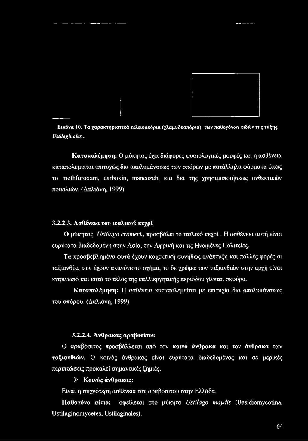 της χρησιμοποιήσεως ανθεκτικών ποικιλιών. (Δαλιάνη, 1999) 3.2.2.3. Ασθένεια του ιταλικού κεχρί Ο μύκητας Ustilago crameri., προσβάλει το ιταλικό κεχρί.