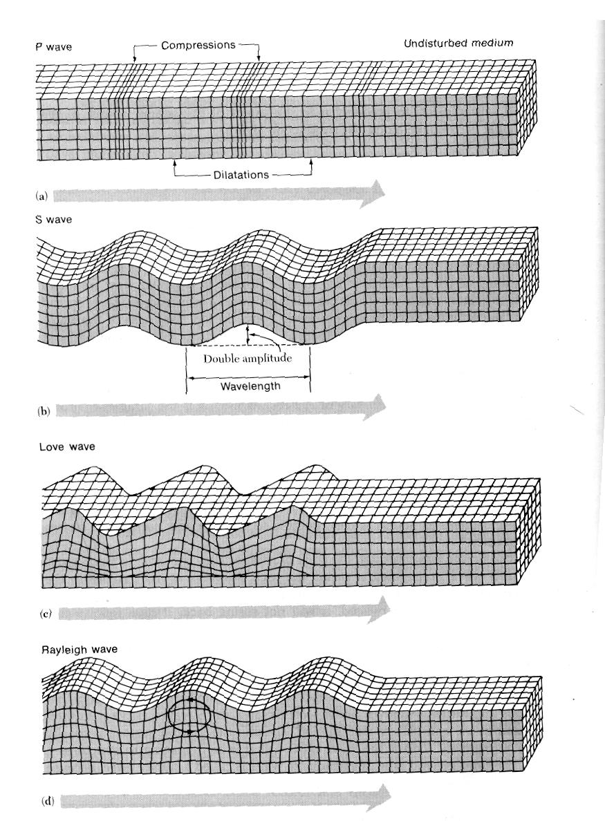 Wave types Body: P S Surface Waves: Love