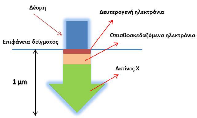 Εικόνα 4.9: Οι εικονιζόμενες δευτερογενείς ακτινοβολίες προέρχονται από διάφορα βάθη εντός του προς εξέταση δείγματος. Στην Εικόνα 4.