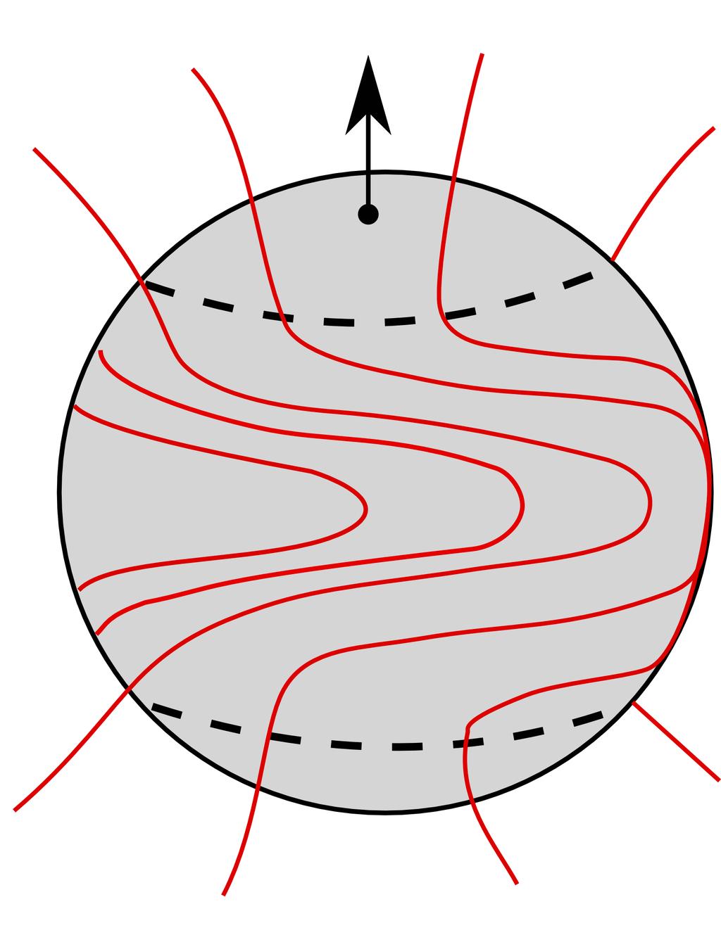 Στο δεύτερο στάδιο, οι παγωμένες δυναμικές γραμμές του μαγνητικού πεδίου παραμορφώνονται από τη διαφορική περιστροφή, αφού οι ισημερινές περιοχές περιστρέφονται πιο γρήγορα από τις πολικές.