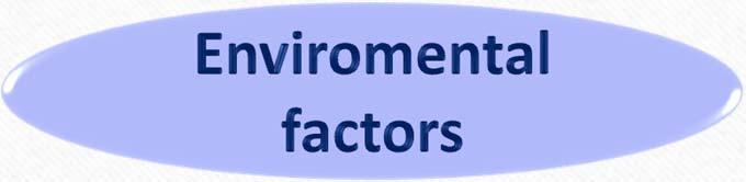 deficiencies Polymorphisms FVII Platelets function Pavlova A, et al.