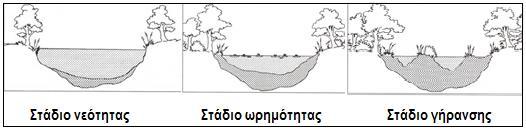 2 Θεωρητικό υπόβαθρο 2.1 Λίμνες και βασικές ποιοτικές παράμετροι Λίμνη ορίζεται μια υδατοσυλλογή μεγάλων συνήθως διαστάσεων που καταλαμβάνει μια ενδοηπειρωτική λεκάνη.