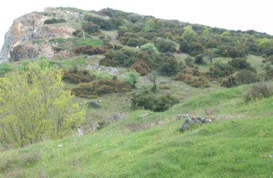 Εικόνα 39.