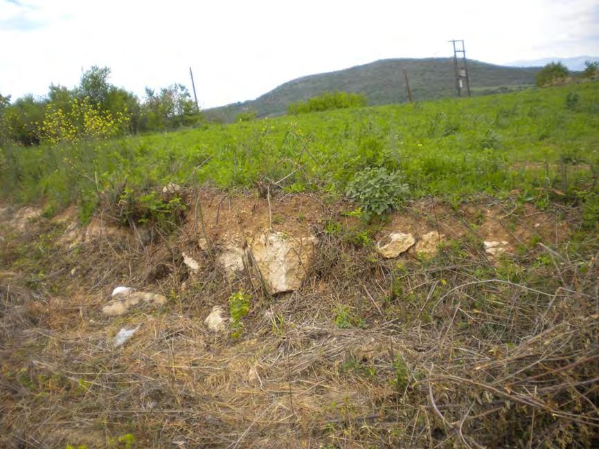 Εικόνα 3.5. Τροποποιημένος χάρτης με τη χρήση του προγράμματος GIS από το φύλλο Βέροια του Ι.Γ.Μ.Ε. Το ανώτερο κομμάτι των ηφαιστειακών πετρωμάτων καλύπτεται από προσχωματικά ιζήματα αποτελούμενα από ένα συνονθύλευμα ηφαιστειακού γυαλιού και θραύσματα κυρίως βασαλτικών και ανδεσιτικών πετρωμάτων.