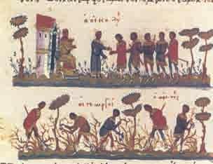 Η μεγάλη ακμή του βυζαντινού κράτους E 3.γ. Βυζαντινοί γεωργοί εισπράττουν τα ημερομίσθιά τους για την καλλιέργεια αμπελώνα. (Μικρογραφία από Ευαγγέλιο, Παρίσι, Εθνική Βιβλιοθήκη) Ε.