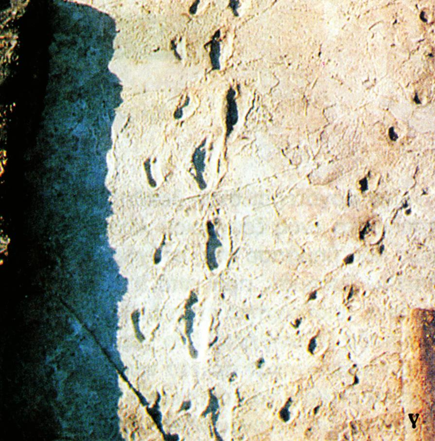 γ Εικόνα 3.