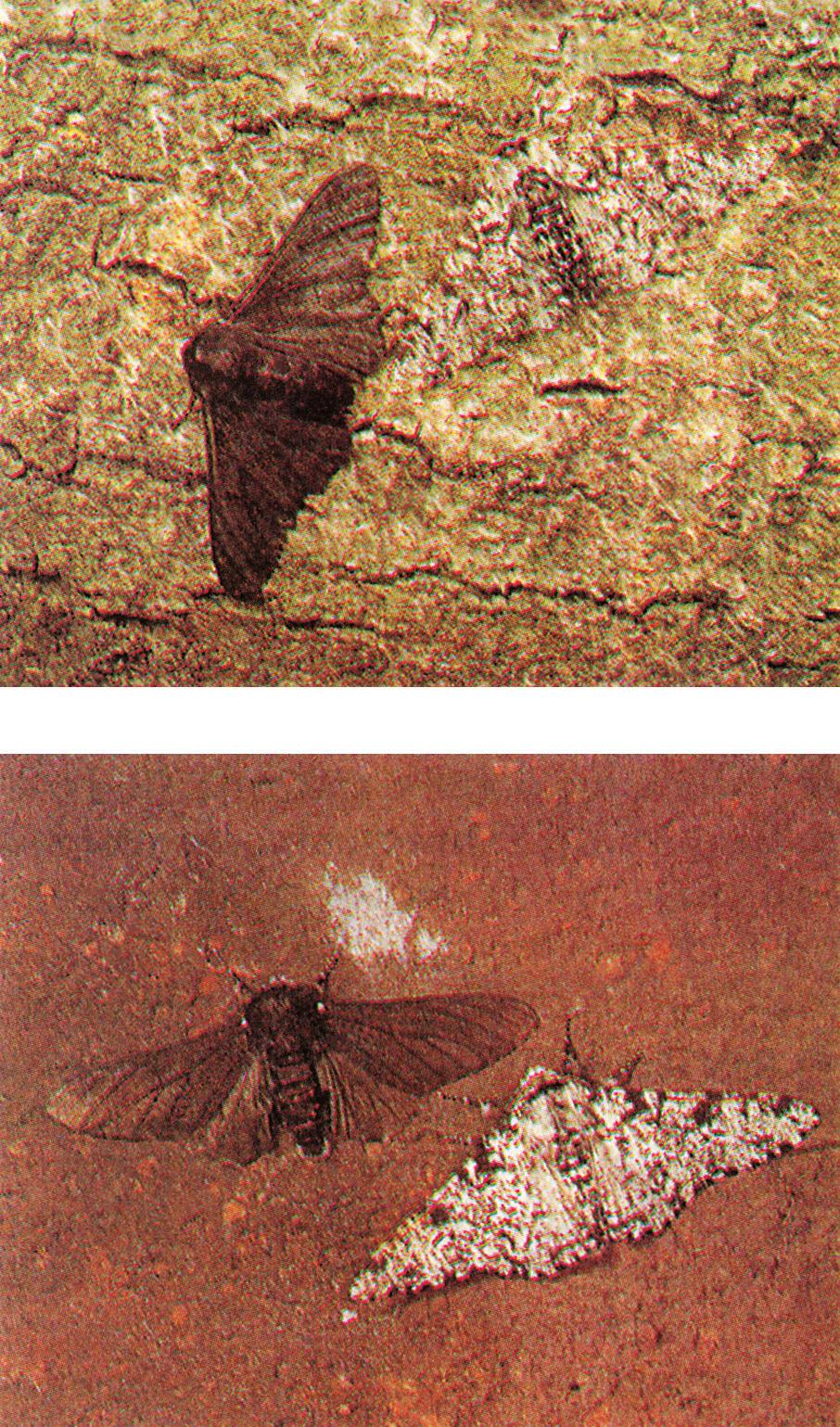 Εικόνα 3.