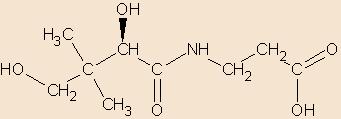Βιταμίνη Β 5 (Παντοθενικό οξύ) Είναι υποκίτρινο λάδι παρόν σε φυτικούς και ζωικούς ιστούς, ευδιάλυτο σε νερό, σταθερό