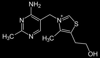 Βιταμίνη Β 1 (Θειαμίνη, ανευρίνη) Λευκή, υδατοδιαλυτή, κρυσταλλική ουσία με μια αλκοολική και μια αμινική ομάδα, (δακτύλιοι πυριμιδίνης και θειαζολίου) παρούσα σε πολλά τρόφιμα ως ελεύθερη αλκοόλη ή