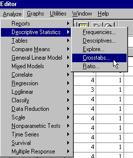 Επιλογή Descriptive Statistics Εικόνα 1: