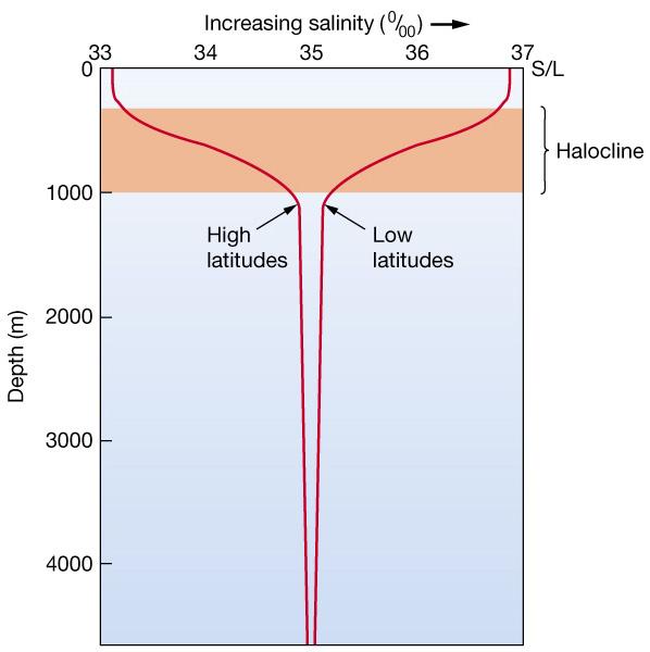 3.3. Αλατότητα Κατακόρυφη κατανομή Οι καμπύλες της διακύμανσης της αλατότητας με το βάθος του νερού διαφέρουν ανάλογα με το γεωγραφικό πλάτος Διακρίνονται τρία στρώματα: Επιφανειακό Μεταβατικό Βαθύ