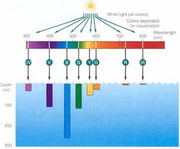 3.6. Διάδοση φωτός στο νερό Το χρώμα της θάλασσας Το χρώμα της θάλασσας είναι συνάρτηση της