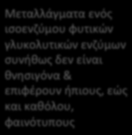 τριόζες, εώς και πυροσταφυλικό ή να επιτελέσουν γλυκονεογένεση.