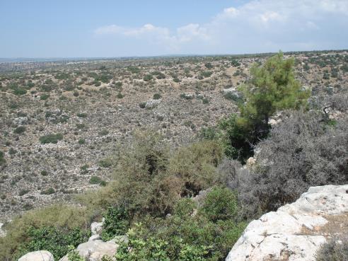 ΕΤΟΙΜΑΣΙΑ ΣΤΟΧΩΝ ΔΙΑΤΗΡΗΣΗΣ & ΔΙΑΧΕΙΡΙΣΤΙΚΩΝ ΣΧΕΔΙΩΝ ΓΙΑ ΤΙΣ ΖΩΝΕΣ