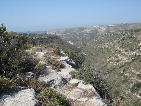 Είδη Καθορισμού της ΖΕΠ Τα είδη πουλιών για τα οποία χρειάζεται να γίνει διαχείριση είναι τα ακόλουθα: Grus grus και Grus virgo (Αποδημητικά) Falco vespertinus και