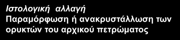 Μεταμορφωμένα Πετρώματα Νέο-ορυκτογένεση Σχηματισμός (γένεση) νέων ορυκτών