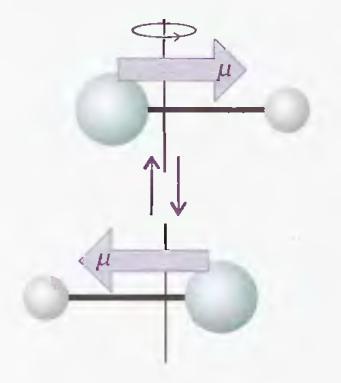 Σύνοψη - Περιστροφικοί κανόνες επιλογής ΓΕΝΙΚΟΣ ΚΑΝΟΝΑΣ ΕΠΙΛΟΓΗΣ Εικόνα8 Για να δώσει ένα μόριο αμιγώς περιστροφικό φάσμα πρέπει να είναι