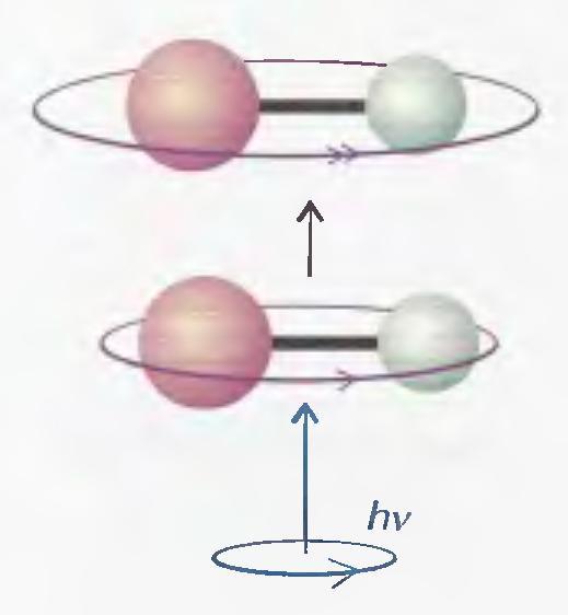 Γραμμικά μόρια: ΔJ= ±1 ΔΜ J = 0, ±1 Η επιτρεπόμενη μεταβολή των J και M J προκύπτει από τη διατήρηση της στροφορμής όταν ένα φωτόνιο με
