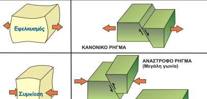 Είδη