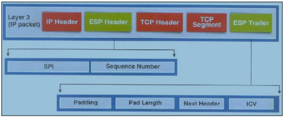 Πεδία κεφαλίδας ESP Το ( Encapsulating security payload ESP) αποτελείτε από έξι πεδία κεφαλίδας.