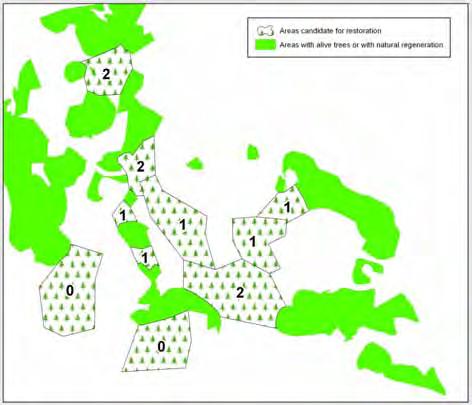 Βήμα 2: Ιεράρχηση των εκτάσεων προς αποκατάσταση Κριτήριο 4: Αποκατάσταση της συνέχειας του δάσους Εκτάσεις που