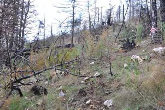 Πρόγραμμα παρακολούθησης 13 μόνιμες