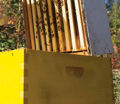 Χαρακτηριστικά Προϊόντος Δοκιμασμένο από το Γεωπονικό Πανεπιστήμιο Αθηνών. Έλλειψη τοξικότητας για το πληθυσμό των μελισσιών. Υψηλή πρόσφυση. Υψηλή αντοχή στην υγρασία.
