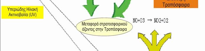 όζον που δεν επηρεάζεται από κοντινές Σχήμα 1.4: Σχηματική παράσταση που δείχνει την προέλευση του όζοντος της τροπόσφαιρας (Ζάνης, 2006).