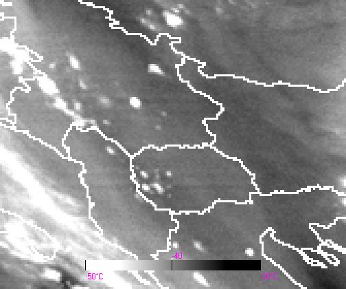 2 µm (εικόνα 43) τα κύτταρα σχηµατίστηκαν κατά µήκος µιας ελαφρώς ξηρής ζώνης (µαύρο βέλος) η οποία απεικονίζεται σαν µια ζώνη µε ενδιάµεσους