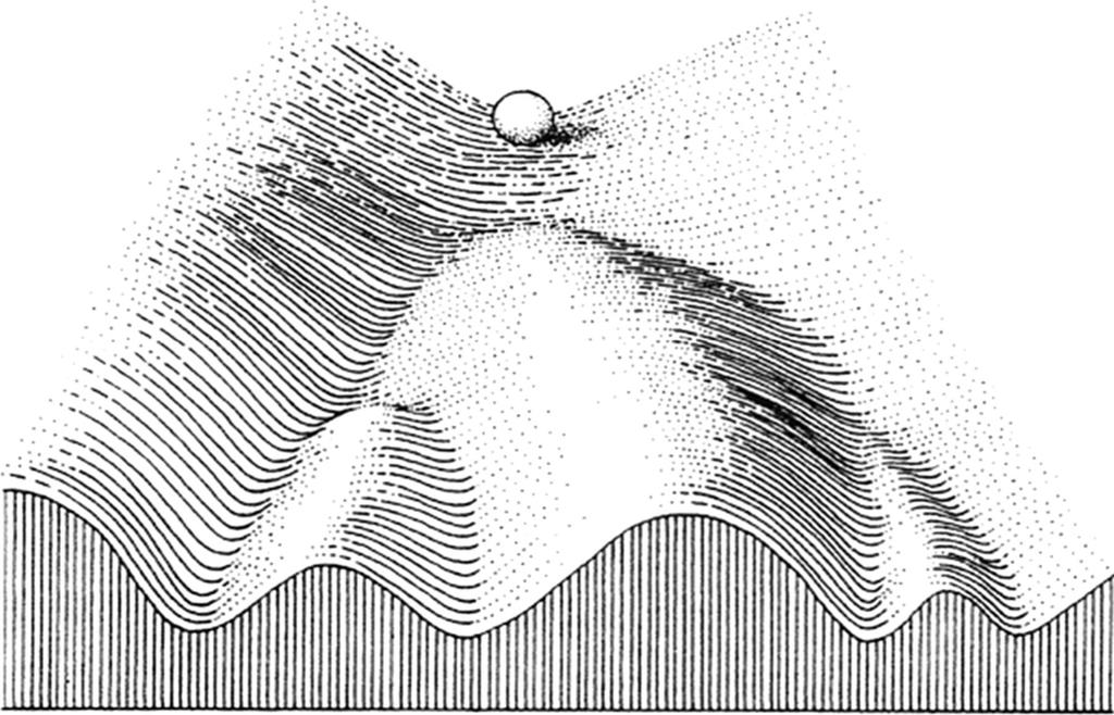 developmental canalization