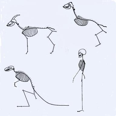 Slijper s