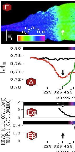 Καταπόνηση από Υψηλές