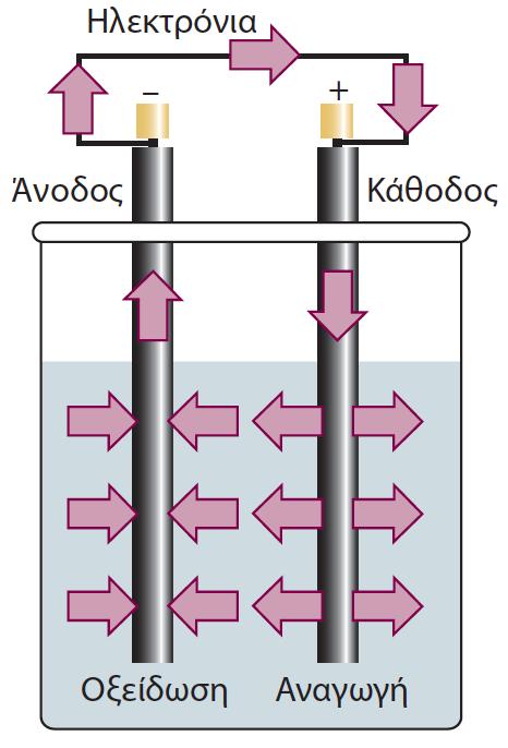 Ημιαντιδράσεις και Ηλεκτρόδια Οι διεργασίες αναγωγής και οξείδωσης υπεύθυνες για τη συνολική αντίδραση σε ένα στοιχείο λαμβάνουν χώρα σε διαφορετικά μέρη Η οξείδωση λαμβάνει χώρα στο ένα ηλεκτρόδιο