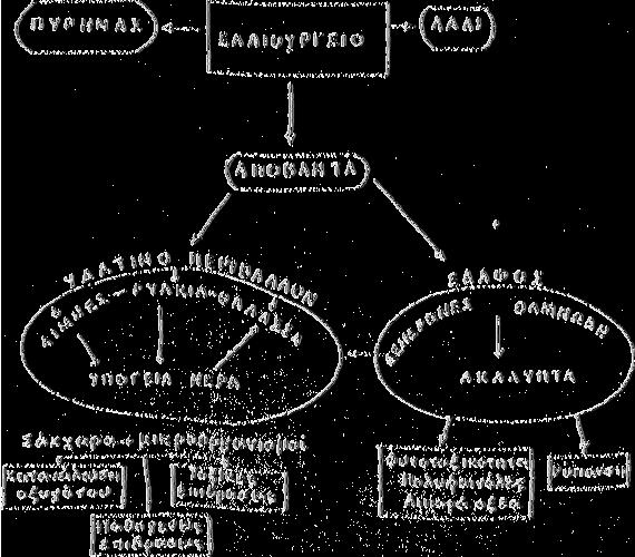 διάθεση, την καλλιέργεια καθώς και το είδος του εδάφους. Δεν έχει παρατηρηθεί φυτοτοξική δράση σε δέντρα.