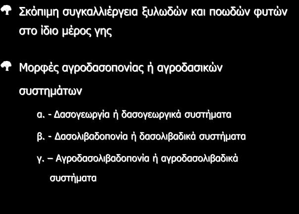 Δασικά είδη μικρού περίτροπου χρόνου και