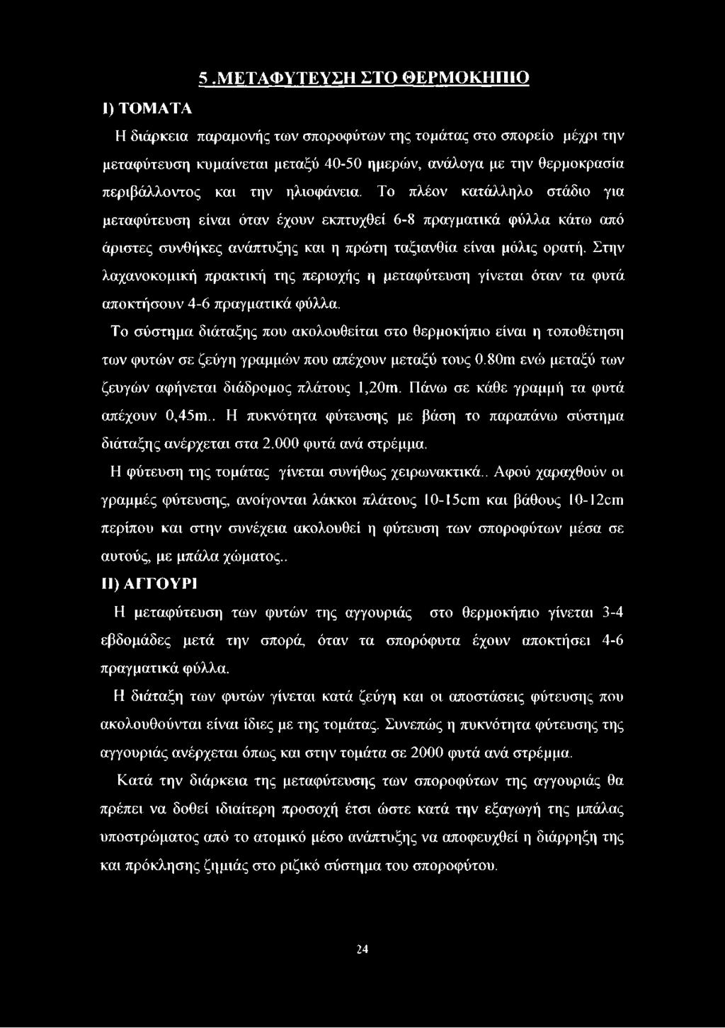 Στην λαχανοκομική πρακτική της περιοχής η μεταφύτευση γίνεται όταν τα φυτά αποκτήσουν 4-6 πραγματικά φύλλα.