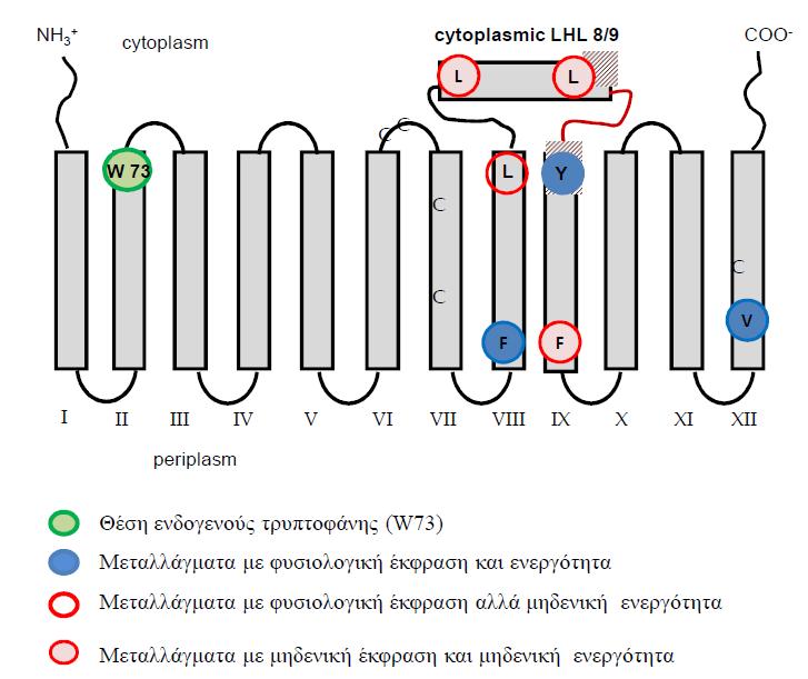Εικόνα 3.