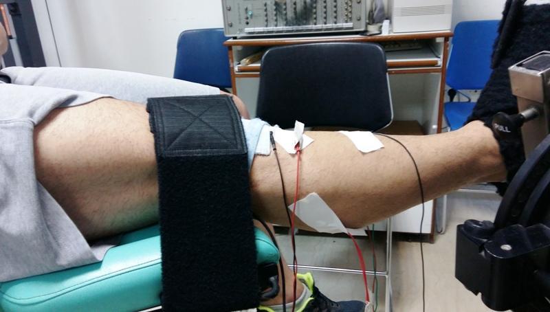 Εικόνα 16, σελ. 39) με δυνατότητα ερεθισμού μέχρι 15 V στα 10 ma.