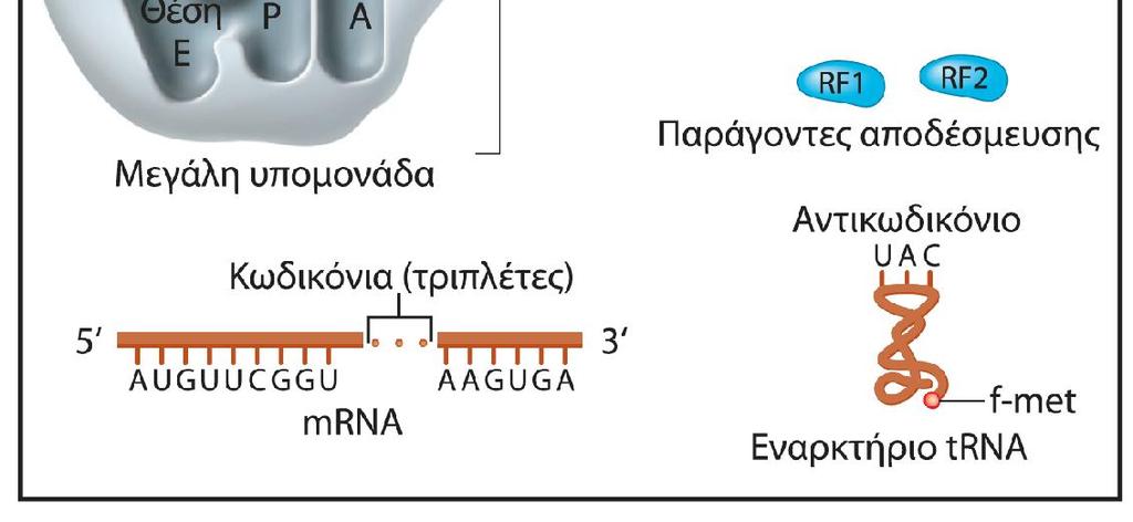 μέρος στην