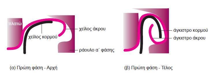 ΕΝΩΣΗ ΚΟΡΜΟΥ ΜΕ