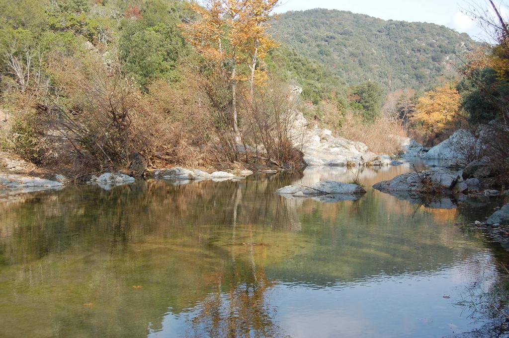 Στραγγάρι