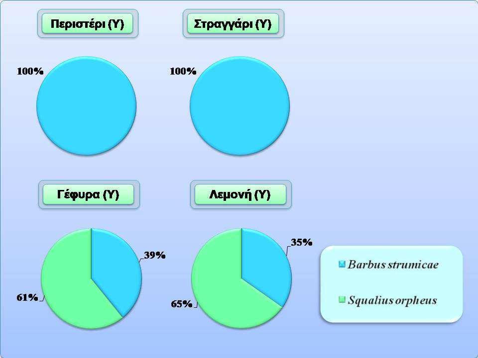 Εικόνα 4.10.3.