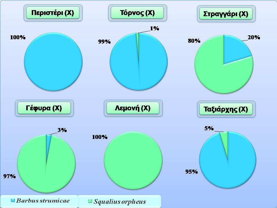 10.3. Relative numerical abundance of the fish species per sampling site during the period of high flow: Y (June, 2011). Εικόνα 4.