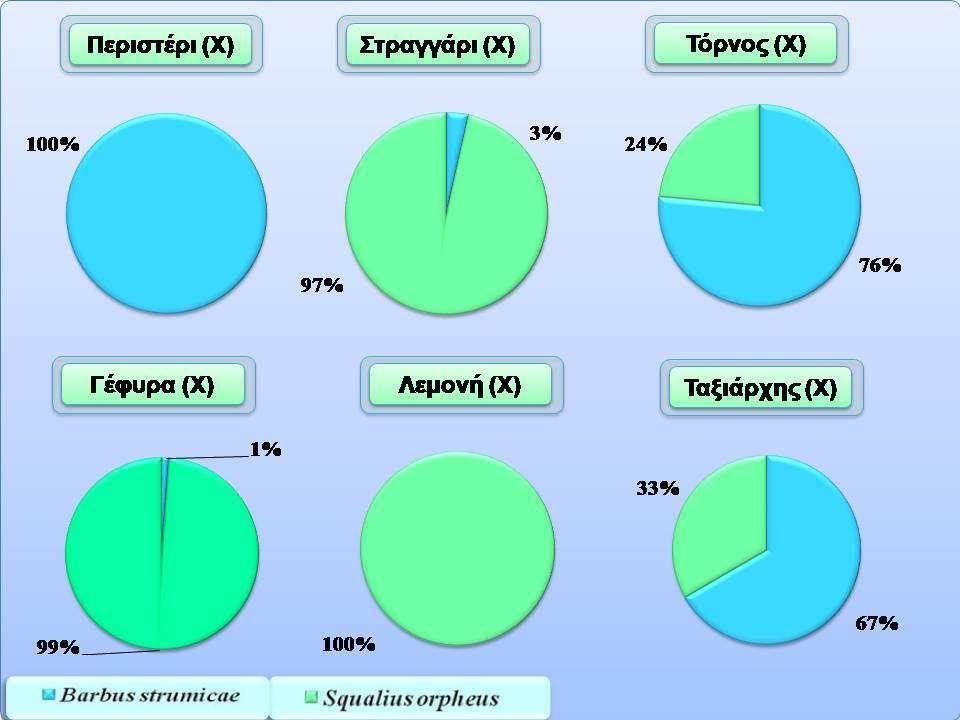 Relative weight abundance of fish species per sampling site during the period of high flow: Y (June, 2011). Εικόνα 4.10.6.